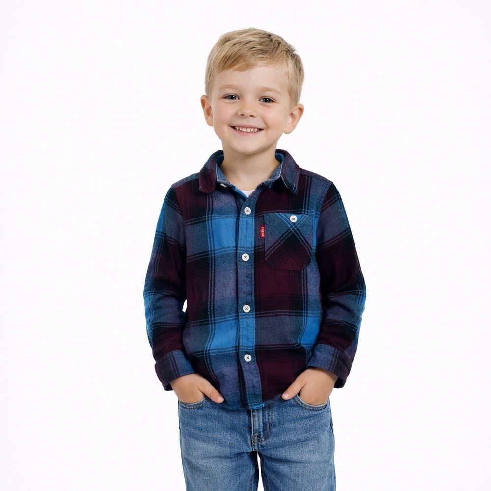 Levi's Kids Blue and Burgundy Plaid Shirt 3T